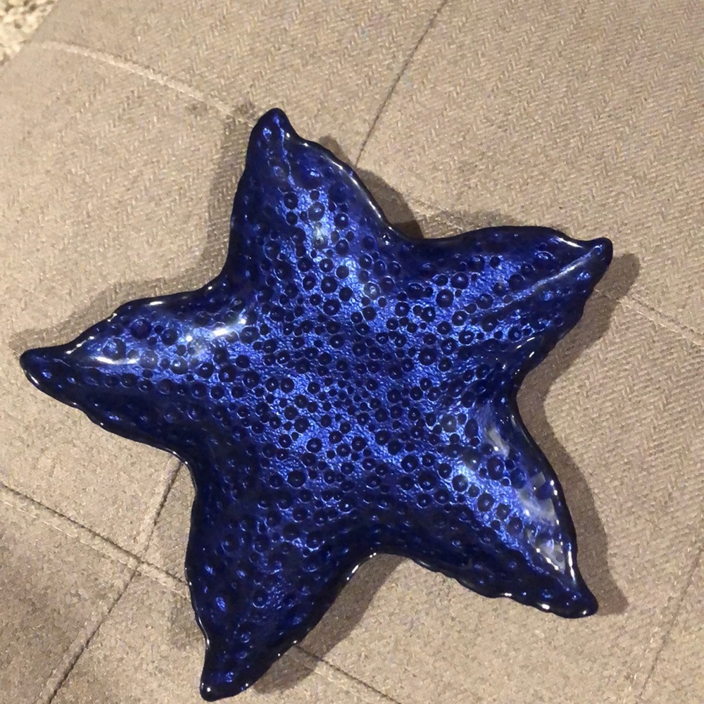 Blue star shape plate!